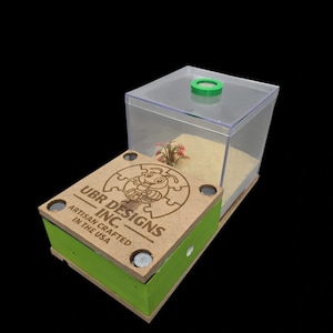 Puede incluir: Un hormiguero rectangular transparente con una base verde y una tapa de madera. La tapa de madera presenta el texto "UBR DESIGNS INC. ARTISAN CRAFTED IN THE USA" y un logotipo. El hormiguero contiene arena y una pequeña planta.