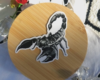 Adesivo con illustrazione di scorpione, arte entomologica realistica, adesivo per bottiglia d'acqua in bianco e nero, decalcomania per laptop, diario
