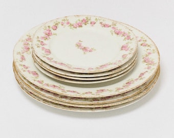 Antique Limoges France Country Porcelain Floral Chain Plate Set