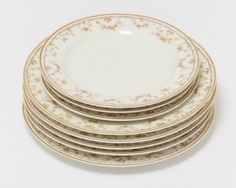 Antique French Porcelain Floral Vine Haviland Limoges Plate Set of 8