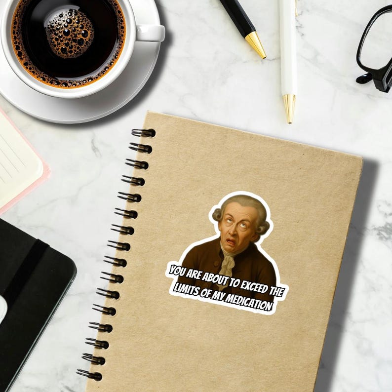 Funny Sarcastic Sticker: Snarky Irritated Decal - Etsy