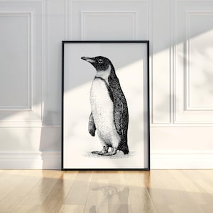 Dibujo de línea de tinta de pingüino, ilustración de animal simple, póster imprimible, arte de pared, impresión, decoración moderna para el hogar, descarga digital