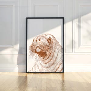 Walrus Ink Sketch Line Art Sea Animal Portrait Illustration Printable Trendy Poster Wall Art Print Modern Home Decor Office Digital Download