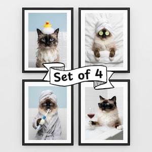 Puede incluir: Juego de 4 impresiones artísticas enmarcadas que presentan gatos en escenarios humorísticos de spa. Un gato tiene un patito de goma en la cabeza, otro tiene rodajas de pepino en los ojos, un tercero se cepilla los dientes y el último bebe vino.