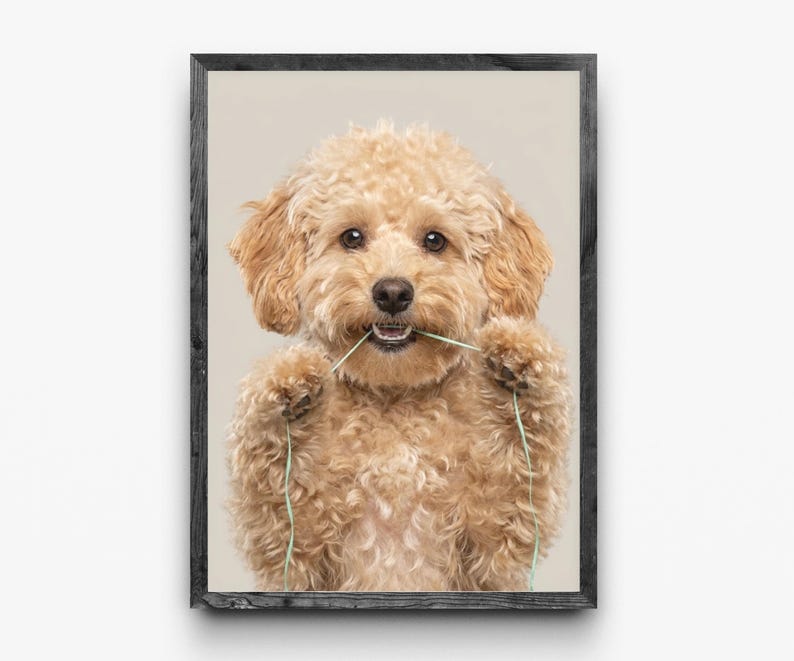 Funny Dog Bathroom Art: dental floss