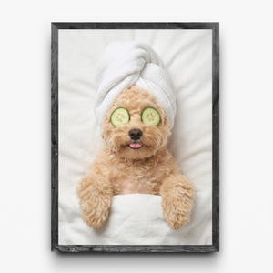 Funny Dog Bathroom Art: Cucumber Spa Table