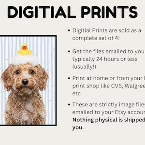 digital prints only