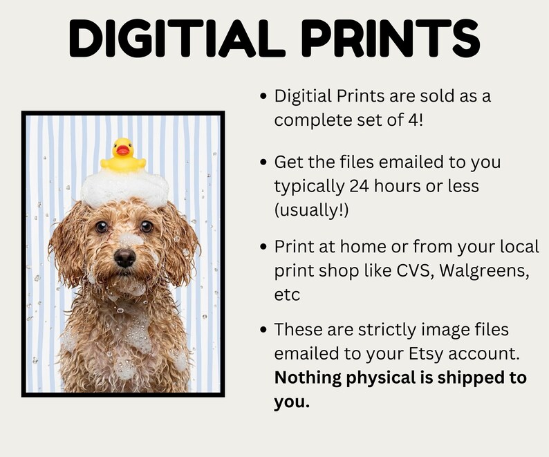 digital prints only