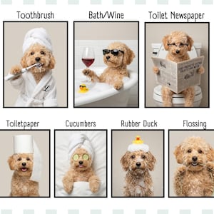 May include: A series of humorous images featuring a poodle in various scenarios. The dog is shown brushing its teeth, relaxing in a bathtub with wine, reading a newspaper on a toilet, using toilet paper, with cucumbers on its eyes, with a rubber duck, and flossing.