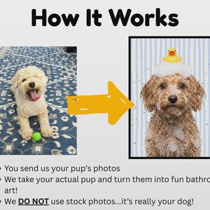 how this works
