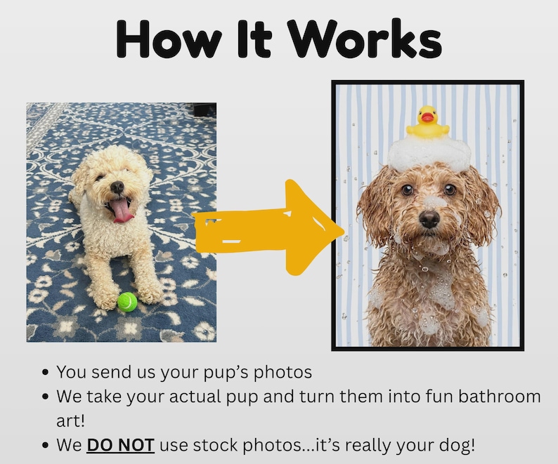 how this works