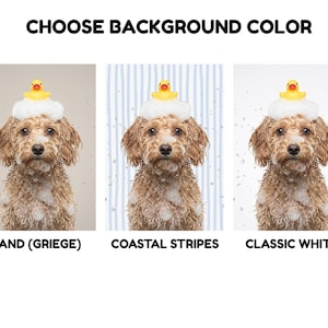 backgrounds