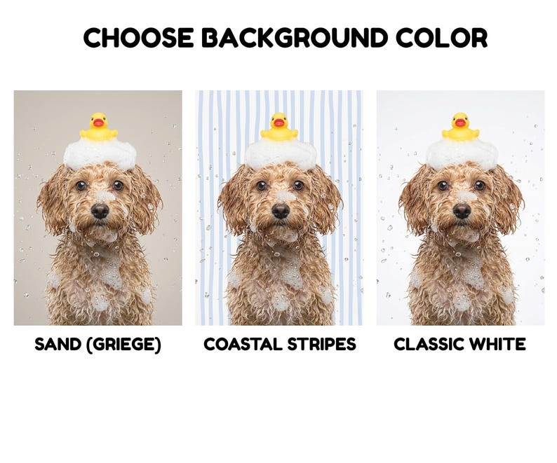 backgrounds