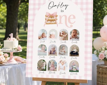 Girl S'mores Birthday Monthly Milestone sign Bonfire Birthday, Smore Fun to be One Party Fall 1st First decor poster photos pictures age