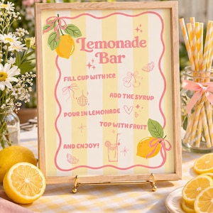 May include: A framed sign with the text "Lemonade Bar" in pink lettering. The sign has a yellow and white striped background and includes instructions for making lemonade. Lemons and flowers are visible in the background.