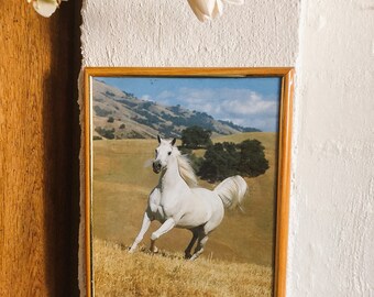 Horse Pony Motif 6 x 4 Photo Picture Frame Dad Mother Daughter Xmas Gift NEW