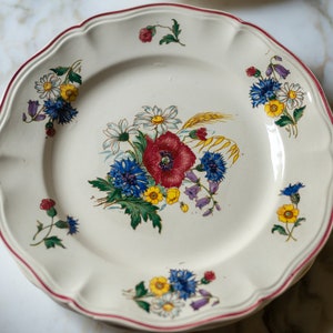 Antique French ironstone floral plate Digoin Sarreguemines