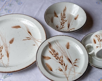 vintage Stonehenge Midwinter wild oats ironstone 5pc