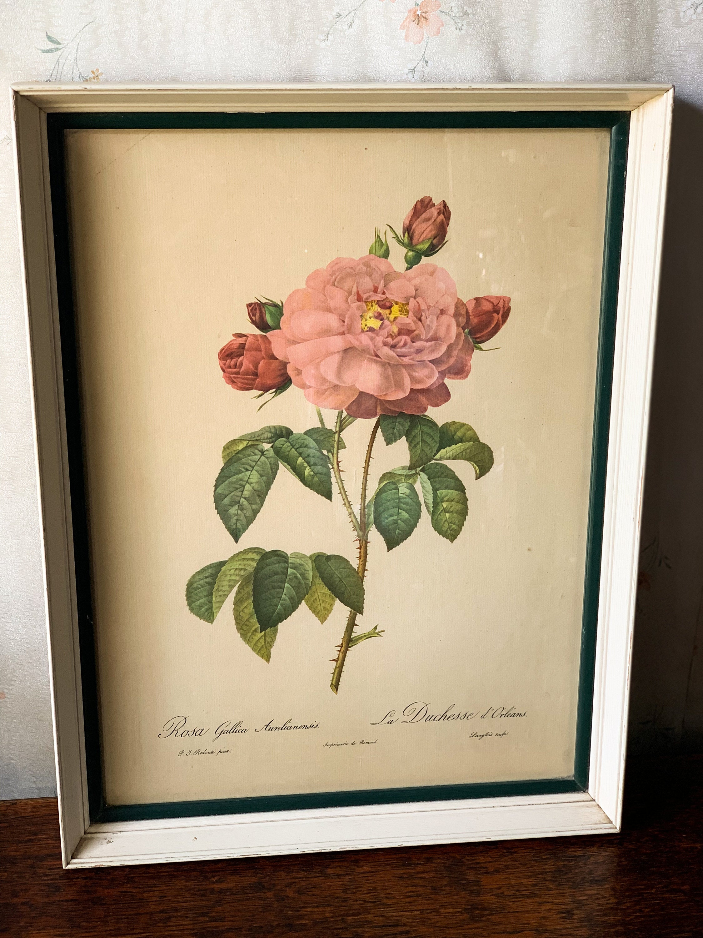 Retro Wood Framed Rose Print Etsy UK