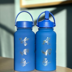 Kyogre Groudon Rayquaza “Hoenn Legendary Trio” Tumbler Waterbottle with Primal and Mega Evolution Versions Coffee Travel Mug Birthday Gift