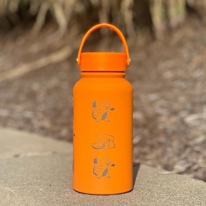 Charmander Water Bottle Engraved Coffee Tea Tumbler with Sleeping Charmander Leaf, Fire Kanto Starter Waterbottle, Gamer Birthday Gift