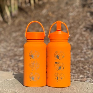 Charizard Water Bottle Engraved Waterbottle with Mega Charizard Y, Kanto Starter Coffee Tumbler Thermos Flask, Gamer Anniversary Gift