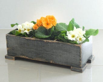 home garden