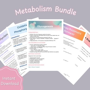 Biochemistry Study Guides Bundle: Metabolic Pathways (Digital Download)