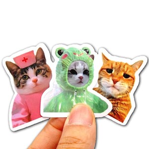 Pegatinas de gatos divertidas: paquete sorpresa. Calcomanías de vinilo con dibujos de gatos para niños, portátiles, teléfonos, guitarras, bicicletas, cuadernos y álbumes de recortes.