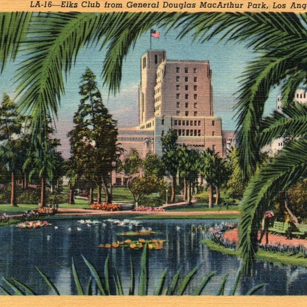 Vintage Postcard, Los Angeles, California, Elks Club, MacArthur Park, Postcard, Old Postcard, Linen Postcard, California Postcard, Souvenir