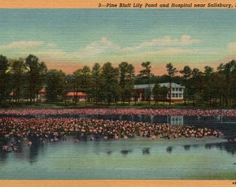 Vintage Postcard, Salisbury, Maryland, Pine Bluff Lily Pond, Hospital, Salisbury Hospital, Postcard, Linen Postcard, Salisbury Gift Postcard
