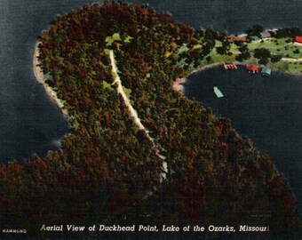 Vintage Postcard, Duckhead Point, Lake of the Ozarks, Missouri, Postcard, Old Postcard, Linen Postcard, Missouri Postcard, Ozarks Postcard