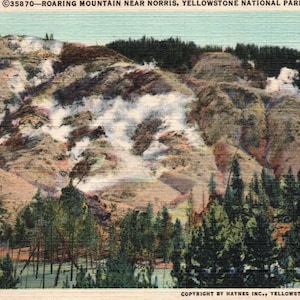 Vintage Postcard, Yellowstone, National Park, Roaring Mountain, Norris, Antique, Ephemera, Travel Journal, Vacation, Yellowstone Gift