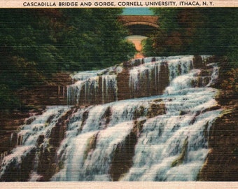 Vintage Postcard, Ithaca, New York, Cascadilla Bridge, Gorge, Cornell University, Postcard, Linen Postcard, Ithaca Postcard, Cornell