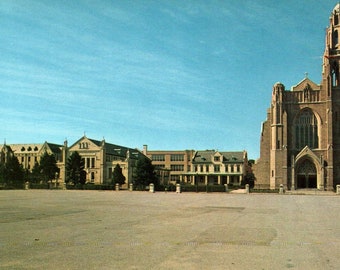 Long Island, New York, Rockville Centre, Cattedrale di Sant'Agnese, cartolina d'epoca, vecchia cartolina, cartolina di Long Island, Long Island New York
