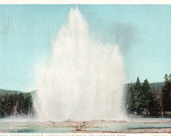 Vintage Postcard, Yellowstone, National Park, Great Fountain Geyser, Lower Geyser Basin, Postcard, Vintage Postcards