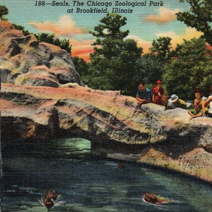 Cartolina d'epoca, Zoo di Chicago, Zoo di Brookfield, Chicago, Sigilli, Cartolina, Cartolina di lino, Vecchia cartolina, Cartolina di Chicago, Zoo di Chicago