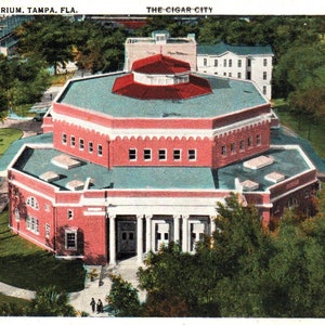 Vintage Postcard, Tampa, Florida, Municipal Auditorium, Postcard, Old Postcard, Travel Journal, Antique Postcard, Found Postcard, Ephemera