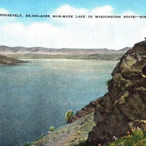 Carte postale vintage, Lake Roosevelt, Washington, Carte postale, Carte postale en lin, Carte postale ancienne, Carte postale de Washington, Lake Life, Cartes postales de lac
