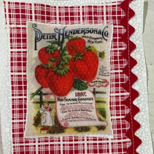 Peut inclure: Un carré de tissu orné d'une impression vintage du catalogue d'été 1897 de Peter Henderson & Co. avec des fraises rouges, sur un fond à carreaux rouges et blancs, agrémenté d'une bordure en croquet rouge sur le côté droit.