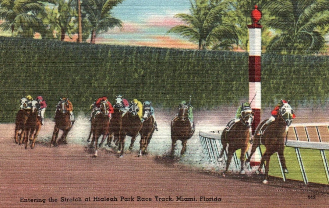 Linen Postcard Miami Florida Hialeah Race Track Race Etsy