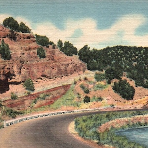 Vintage Postcard, Cedro Canyon, Cibola National Forest, Albuquerque, New Mexico, Postcard, Linen Postcard, New Mexico Postcard, Albuquerque