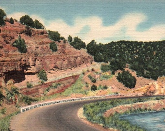 Vintagevykort, Cedro Canyon, Cibola National Forest, Albuquerque, New Mexico, Vykort, Linnevykort, Vykort från New Mexico, Albuquerque