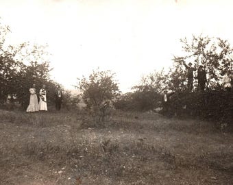 Postal antigua, RPPC, postal con foto real, chicos en los árboles, foto familiar, única, efímera, foto rara, antigua, blanco y negro, fotografía
