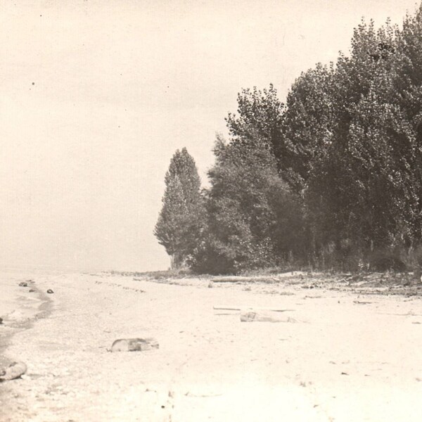 Found Photo, Family on Beach, Vintage Photograph, Black and White, RPPC, Old Photo, Found Photograph, Found Photos, Beach Photograph