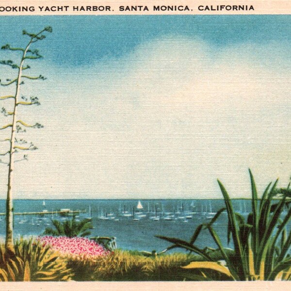 Vintage Postcard, Santa Monica, California, Yacht Harbor, Postcard, Linen Postcard, Old Postcard, Santa Monica Postcard, California Postcard