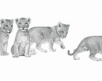 ORIGINAL miniature drawing of lion cubs 'Herding Kittens'