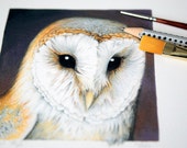 PRINT 39 Barn Owl 39