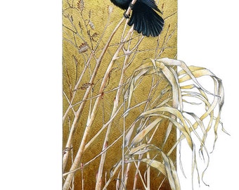Limited edition Fine Art Print - 'From Dusk 'til Dawn' by Claudia Hahn, hand gold gilded, black bird blackbird, Springwatch