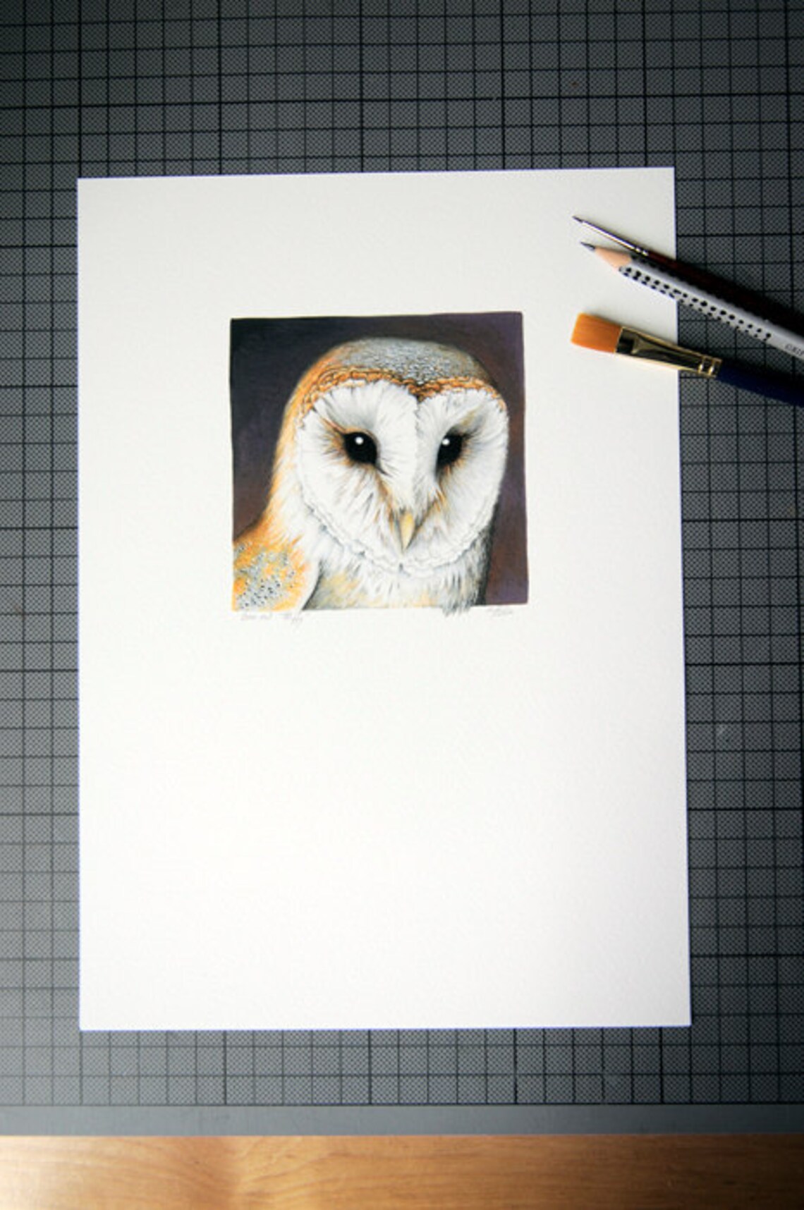 PRINT 'barn Owl' - Etsy